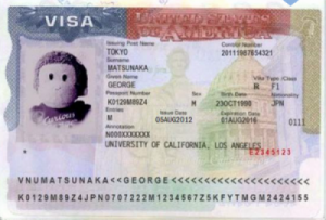 Visa vs. Status | The Office of International Affairs | The University